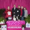 Max Best Of Breed 2014 Eukanuba